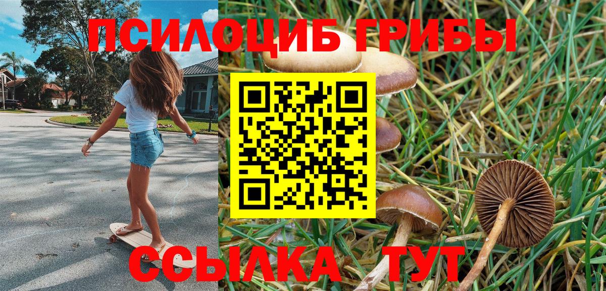 Псилоцибиновые грибы GOLDEN TEACHER  Псилоцибиновые грибы MAGIC MUSHROOMS  Лысьва  Вход с VPN 