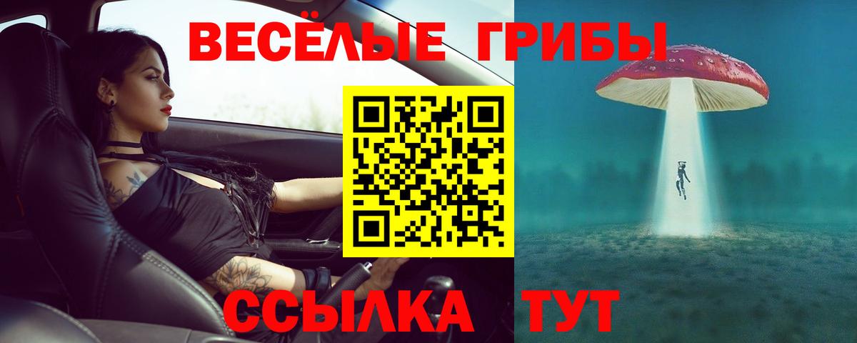 Псилоцибиновые грибы мухоморы Лысьва
