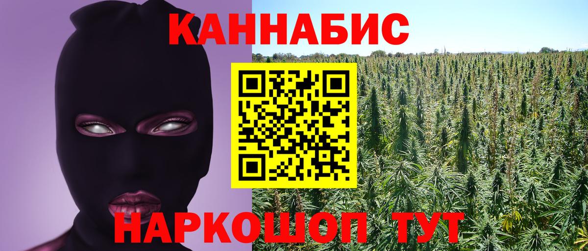 Бошки марихуана конопля Лысьва